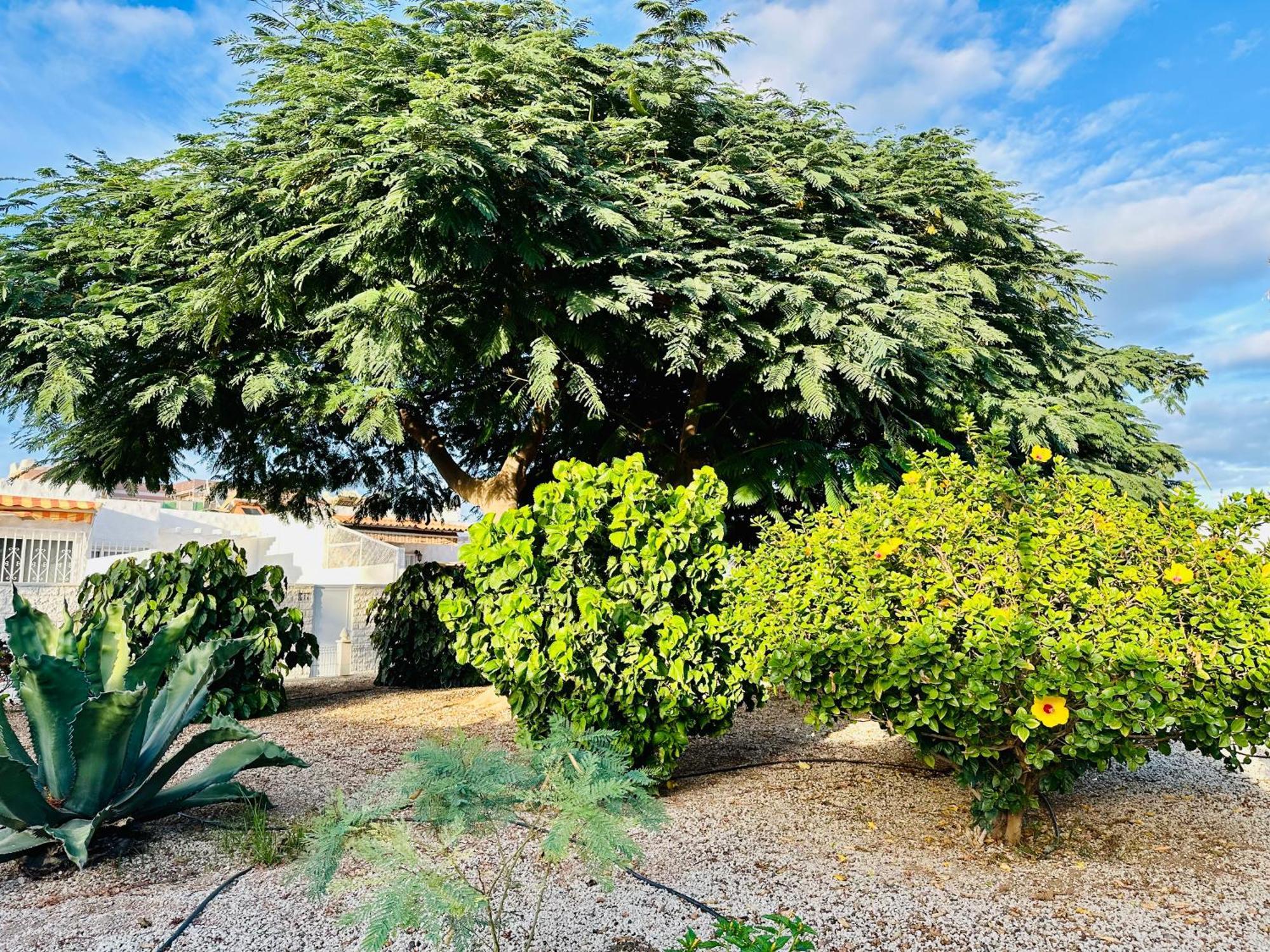 Casa Una Bungalow Delux Arona  Kültér fotó